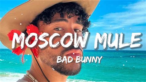 Moscow mule letra - Apr 27, 2023 · Bad Bunny - Moscow Mule (Letra/Lyrics)Bad Bunny - Moscow Mule (Letra/Lyrics)Bad Bunny - Moscow Mule (Letra/Lyrics)🎤Letra: Bad Bunny - Moscow Mule (Letra/Lyr... 